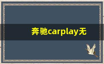 奔驰carplay无法启用什么原因,设置里carplay车载不见了