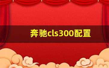 奔驰cls300配置参数,奔驰cls300长度