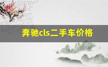 奔驰cls二手车价格,二手车保值率排名