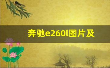 奔驰e260l图片及价格表