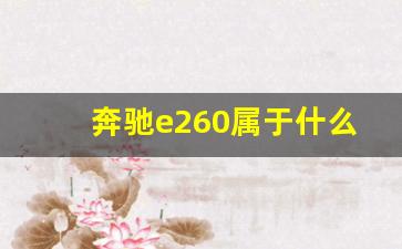 奔驰e260属于什么档次,奔驰e260与c260哪个性价比高