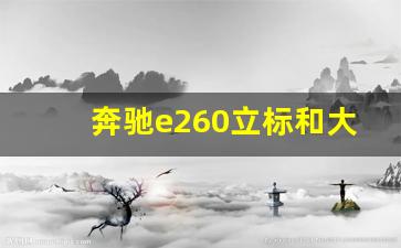 奔驰e260立标和大标,2019奔驰c260l立标