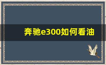 奔驰e300如何看油量,奔驰e300和宝马x5哪个消量高