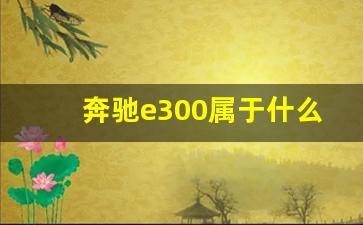 奔驰e300属于什么档次,开奔驰e300的女人特点