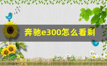 奔驰e300怎么看剩余油量,奔驰e300l怎么看油量