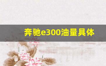 奔驰e300油量具体多少怎么看,奔驰e300油表在哪里