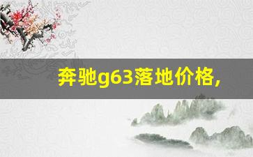 奔驰g63落地价格,g63最新落地价