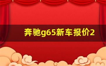 奔驰g65新车报价2023款图片,奔驰g65中国有多少辆