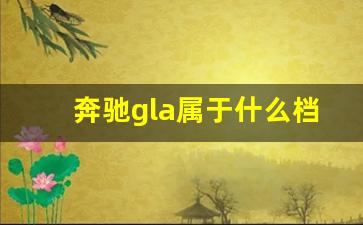 奔驰gla属于什么档次,奔驰gla怎么样值得购买吗