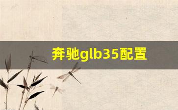 奔驰glb35配置