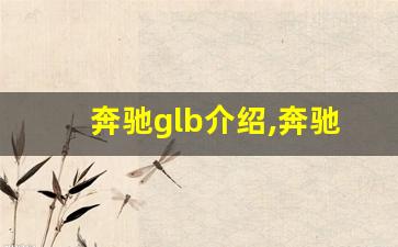 奔驰glb介绍,奔驰GLB品牌型号