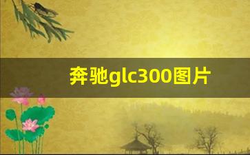 奔驰glc300图片高清,奔驰glc300落地价多少钱