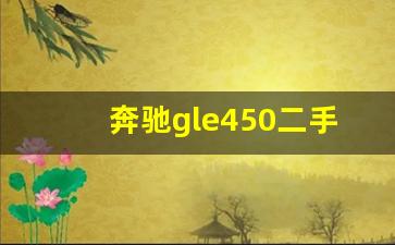 奔驰gle450二手车价格