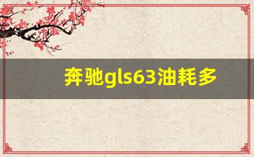 奔驰gls63油耗多少,2024款奔驰GLS63AmG配置价格