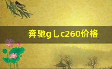 奔驰g乚c260价格,奔驰glc新车报价