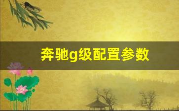 奔驰g级配置参数