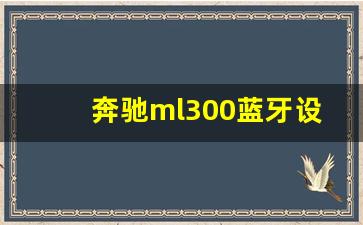 奔驰ml300蓝牙设置教程