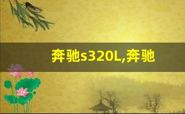 奔驰s320L,奔驰320有几种车型