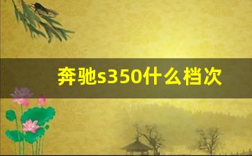 奔驰s350什么档次,奔驰s300和s350区别