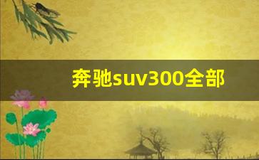 奔驰suv300全部车型