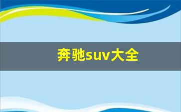 奔驰suv大全