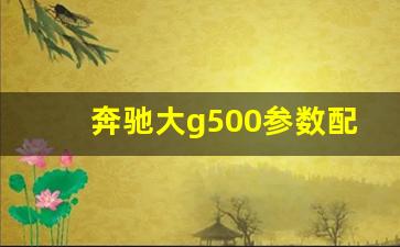 奔驰大g500参数配置,奔驰g500报价及图片