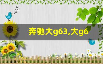 奔驰大g63,大g63奔驰官方报价