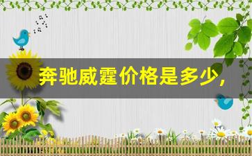 奔驰威霆价格是多少,威霆的动力加速参数