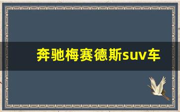 奔驰梅赛德斯suv车型及价格