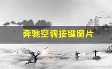 奔驰空调按键图片