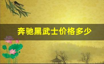 奔驰黑武士价格多少