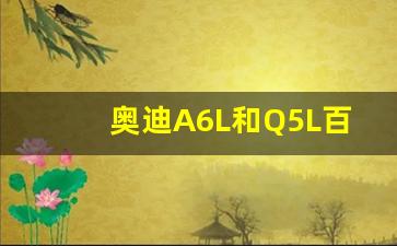 奥迪A6L和Q5L百公里油耗