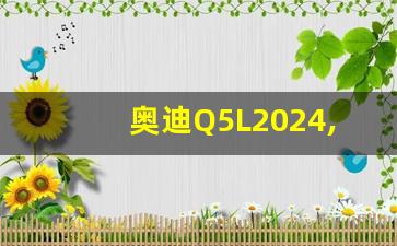 奥迪Q5L2024,2024款Q5L45豪华动感轮毂