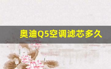 奥迪Q5空调滤芯多久换一次,奥迪Q5L空气滤芯更换图解