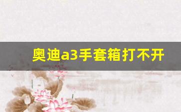 奥迪a3手套箱打不开怎么办,奥迪a3座椅下方储物盒