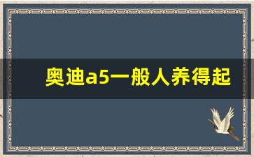 奥迪a5一般人养得起吗