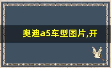 奥迪a5车型图片,开Q5有面子还是A6