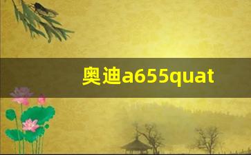 奥迪a655quattro参数,奥迪a655什么意思