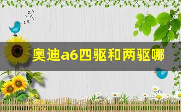 奥迪a6四驱和两驱哪个好,奥迪a6南方有必要买四驱么