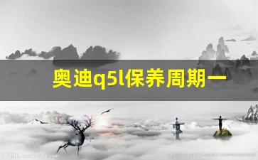 奥迪q5l保养周期一览表,q5l养车费用太高了