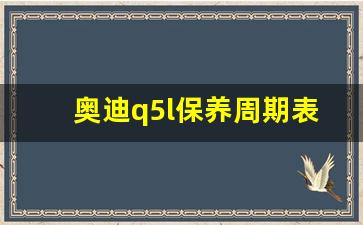 奥迪q5l保养周期表,奥迪q5l首保后多久保养一次