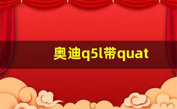 奥迪q5l带quattro,奥迪q5l适时四驱什么意思