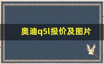 奥迪q5l报价及图片2023款价格,什么车性价比高又有档次