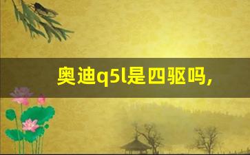 奥迪q5l是四驱吗,奥迪Q5L舒适模式是四驱吗