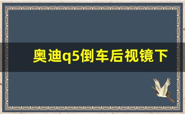 奥迪q5倒车后视镜下翻的解决方法