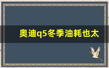 奥迪q5冬季油耗也太高了吧,奥迪q5油耗高怎么解决