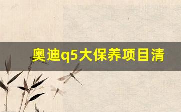 奥迪q5大保养项目清单及费用,奥迪q5l6万公里保养费用