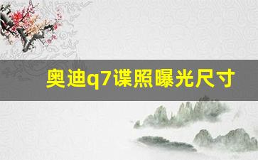 奥迪q7谍照曝光尺寸不变