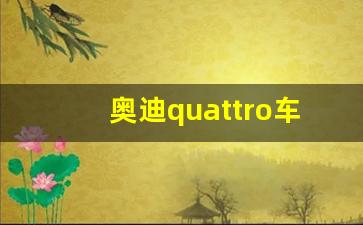 奥迪quattro车型