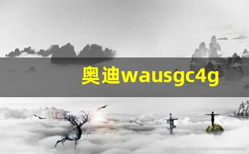 奥迪wausgc4g照片